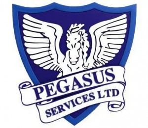 Pegasus