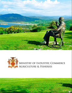 Ministry of Industry brochure cover.