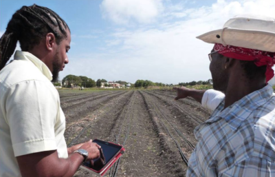 Barbados Agricultural Development Marketing Corporation. A man and woman stand on an empty field. The man using a device in his hand and the woman pointing.