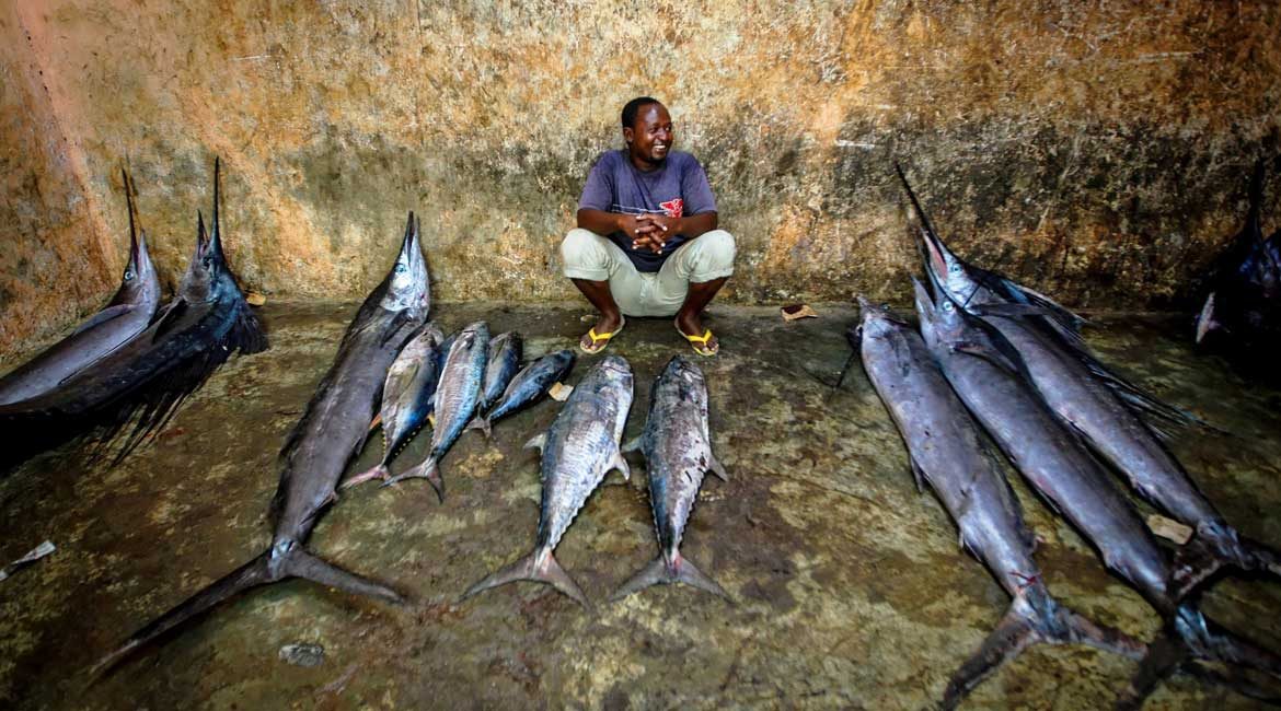 cost of fishing in the Caribbean