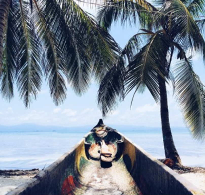 The pointed front of a hollowed out wooden canoe on a beach with palm trees and the ocean in view.