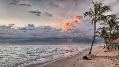 Caribbean Tourism Organization. A beach scene with palm trees and sand on the right and the ocean and sky with clouds on the left