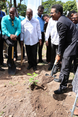 The Ministry of Industry, Commerce, Agriculture and Fisheries Jamaica.