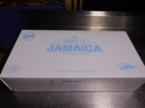 Algix Jamaica Ltd. packaging box.