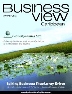 January 2015 Issue cover Business View Caribbean.