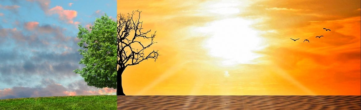 A photo of a tree with a split view down the middle. The left showing green grass, blue sky and clouds and the right showing a desert with a dead tree, orange sky and bright sun shining. Developing a Climate Resilience Policy for St. Vincent and the Grenadines