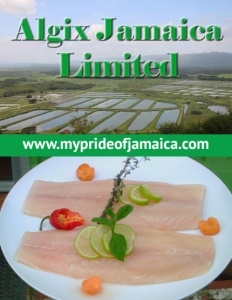 Algix Jamaica Limited brochure cover.