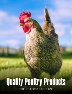Quality Products brochure cover.