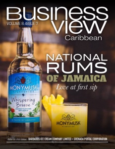 Volume 8 Issue 7 cover of Business View Caribbean