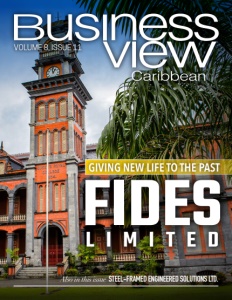 Volume 8, Issue 11 cover of Business View Caribbean.