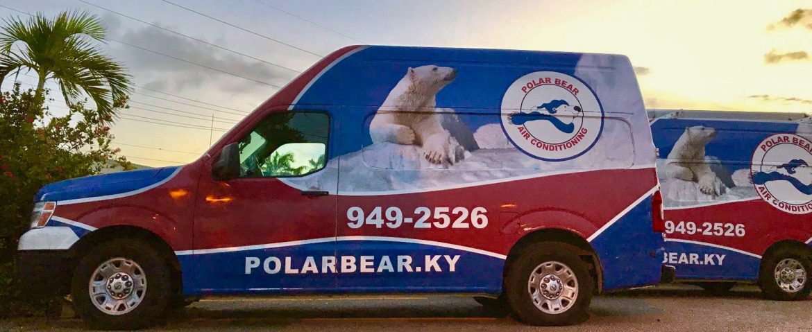 Polar Bear Air Conditioning