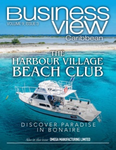 Volume 9, Issue 3 cover of Business View Caribbean.