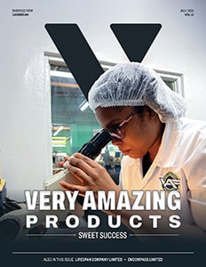Latest cover of Business View Caribbean.